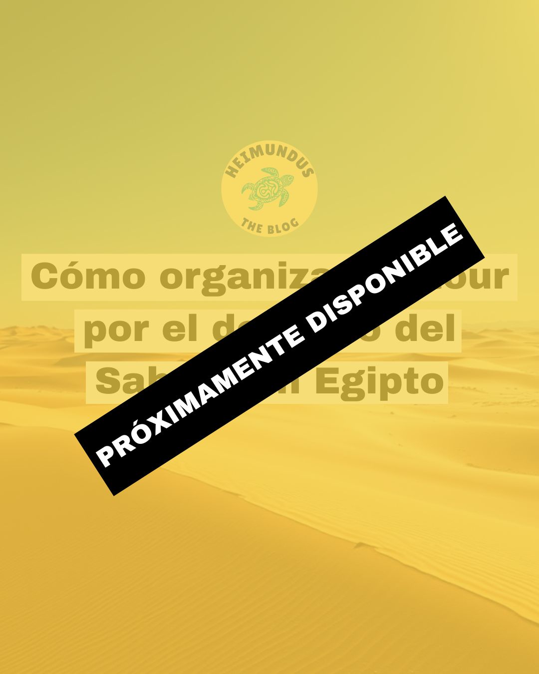 Cómo organizar un tour por el desierto del Sahara en Egipto: guía completa para planificar tu visita